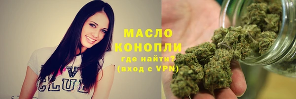 мет Бородино